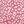 Pink Leopard