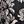 Black Estelle Floral