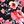 Black Red Flowers
