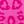 Pink Leopard