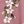 Pink White Flower