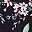 Black Pink Floral