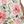 White Pink Floral