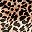 Brown Leopard