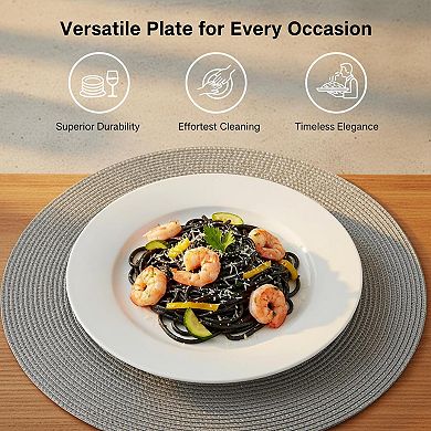10 Inch Porcelain Dinner Plates Set Of 6 Microwave Oven Dishwasher Safe Scratch-resistant