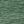Dark Forest Green
