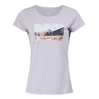 Regatta Womens/Ladies Breezed IV Mountain T-Shirt