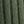 Pine