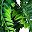 Greenfiveforkedpersian