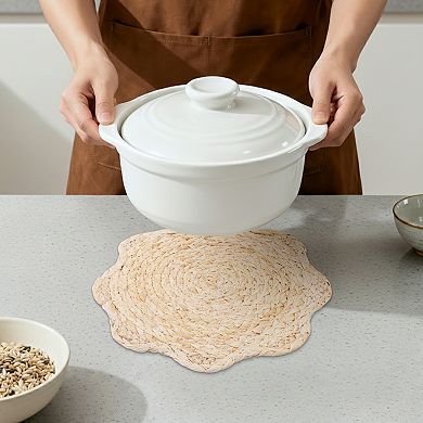 Farmhouse Placemats Set of 4 Flower Placemats for Dining Table Decor