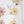 Floral Beige Clear