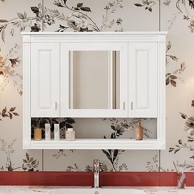 ELEMENT ACE Wall Mounted Mirror Medicine Cabinet with Adjustable Shelves Storage