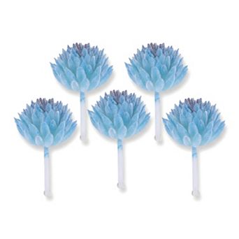 5 pc Realistic Flocked Artificial Succulents 2.8" Mini Faux Pinecone Picks Frosted Unpotted Plants