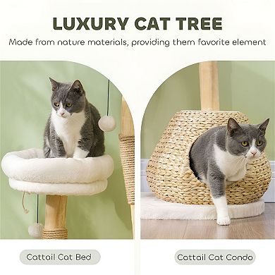 Multi-Level Cat Tree with Condo, Cushioned Beds, Scratching Post, and Toy Ball
