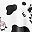 Black White Cow