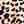 Brown Leopard