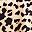 Brown Leopard