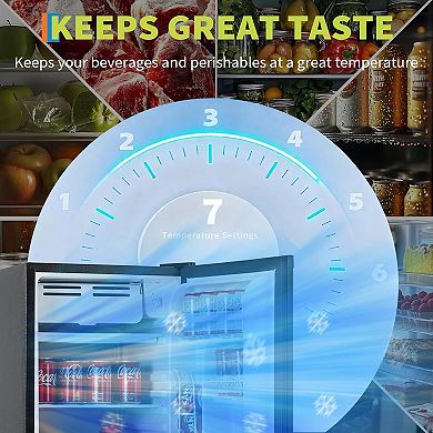 ANIXOL Compact Mini Fridge with Freezer