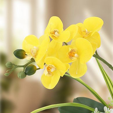 ANIXOL Real Touch Artificial Orchid Arrangement