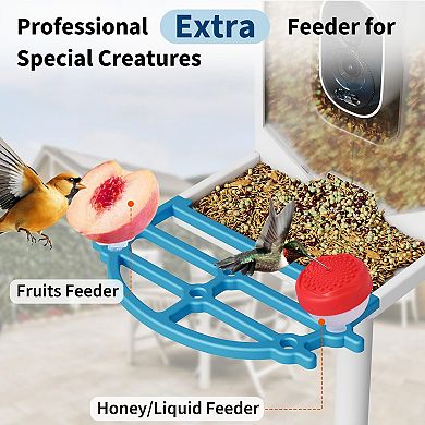 ANIXOL Solar Camera Smart Bird Feeder