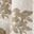 Ivory Champagne Flrl