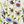 Sky Ivory Floral