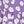 Purple Flower