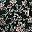 Black Florals