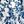Blue Florals