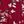 Rich Burgundy