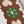 Brown Pink Green