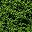 Grass Green