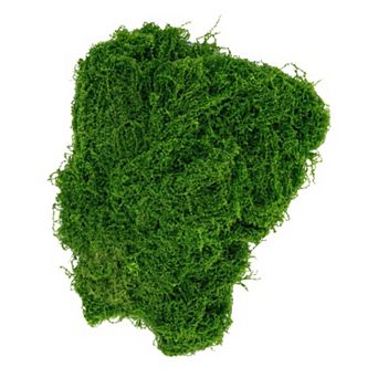 Artificial Moss Fiber Realistic Fake Grass Powder for Fairy Garden Miniature 0.11 lb