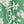 Green White