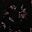 Black Flower