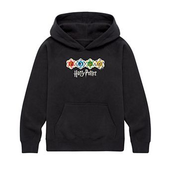 Boys 8-20 Harry Potter Hogwarts Houses Graphic Hoodie