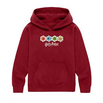 Boys 8-20 Harry Potter Hogwarts Houses Graphic Hoodie