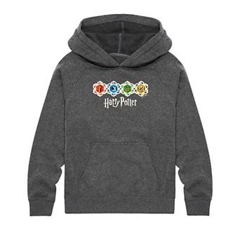 Boys 8-20 Harry Potter Hogwarts Houses Graphic Hoodie