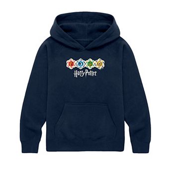 Boys 8-20 Harry Potter Hogwarts Houses Graphic Hoodie