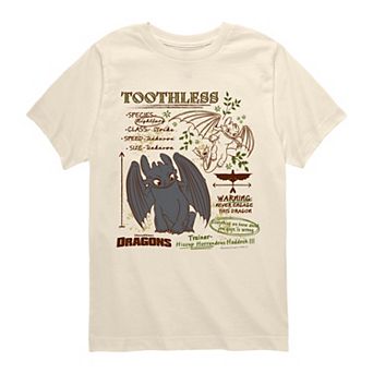 Boys 8-20 How To Train Your Dragon Toothless Graphic Tee