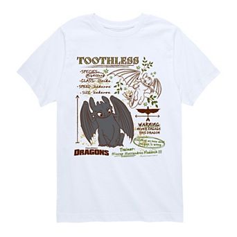 Boys 8-20 How To Train Your Dragon Toothless Graphic Tee