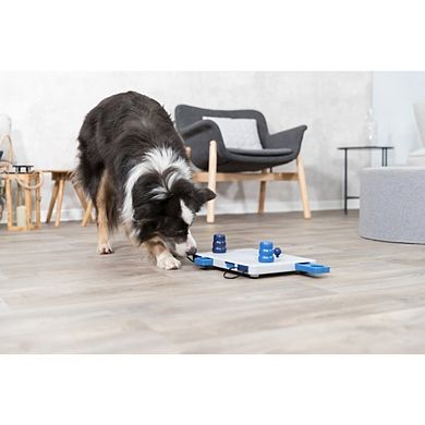 Dog Activity Move2Win Strategy Game, Level 3, Advanced Dog Puzzle Toy