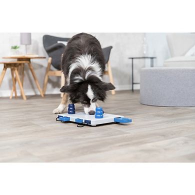 Dog Activity Move2Win Strategy Game, Level 3, Advanced Dog Puzzle Toy