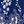 Blue White Flower