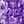 Floral Purple