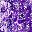 Floral Purple