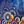 Navy Blue Flower