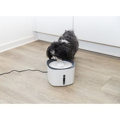 Flower Drinking Fountain for Dogs and Cats, 68oz Automatic Water Dispenser