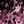Pink Black Mauve