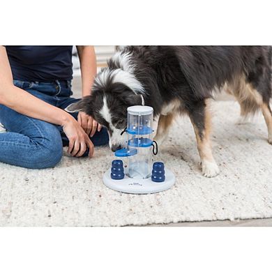 Dog Gambling Tower Strategy Game, Level 1, Beginner Dog Puzzle Toy
